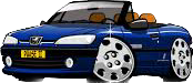 306 Cabrio
