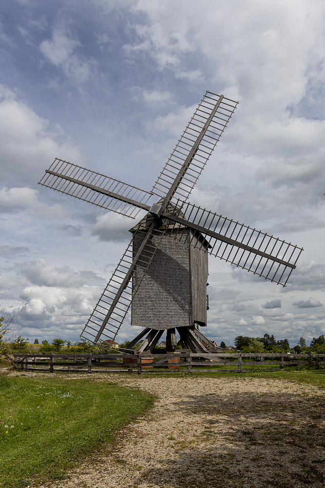 104A8165.jpg