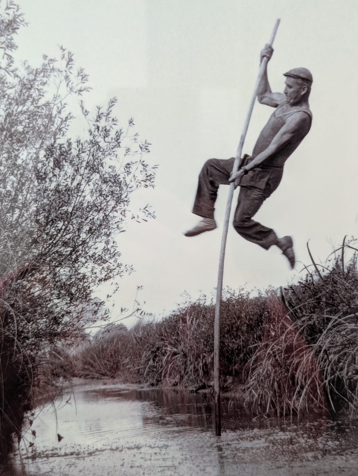 écomusée du marais Vendéen
Mots-clés: Le Daviaud
