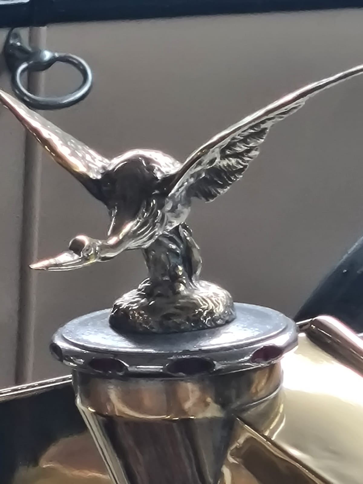 Musée automobile de Vendée
Mots-clés: Talmont-Saint-Hilaire